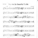 Joe Cocker / You are so beautiful to me 이미지