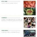 황소 민박 이미지