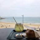 카페뱅글 | 송정해수욕장 오션뷰 카페 리프 부산 송정 본점 샤인머스켓하이볼 뱅글빵 플레인 후기