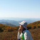 꽃별하얀 이미지