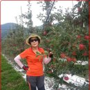 계곡여행 이미지