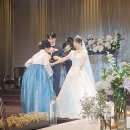 돌이된 며느리+강아 | W-7. 루이비스 본식 신부 후기 (+사전 리허설)