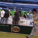 황제애견 이미지