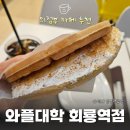 회룡1마을화장실 | [회룡역 디저트] 와플대학 메뉴 추천과 내돈내산 후기, 가볍게 당 충전하기 좋은 곳