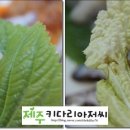 갯마을식당 이미지