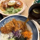세수대야동까스 | 역 맛집] 세수대야 급 그릇 크기에 돈까스가 통째로...곰소바’ 솔직후기 (ft. 서대문역돈까스5호선)