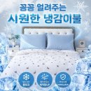 하나이불 - 오산시 궐리사로 96 | 하나이불