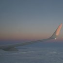 혼 | 겨울 삿포로 혼여행 후기 이렇게 재밌어도 돼?