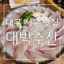 대박 | 스끼다시도 회도 대박 ! 대구 서구 맛집 대박수산 후기