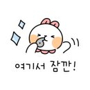 불타는명태조림서 이미지