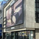 신혼가구 | 템퍼 라운지 목동점 모션베드 싱글 2개 조합 :: 내돈내산 매트리스 구매 후기