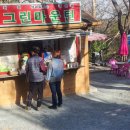 견생개꿀 이미지