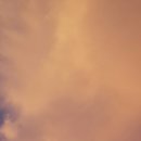 구름농장 이미지