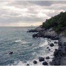 박행정사 사무소 이미지