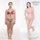 최은 카카오 검색결과