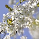 온가족한의원 이미지