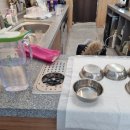 도그베이 동탄호수공원점 이미지