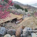 강변의 수채화 이미지