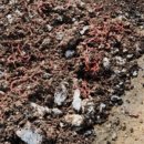 가람환경 이미지