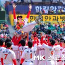 헹가래 이미지