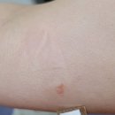 연세노바피부과의원 | 경기도 용인시 처인구 피부과 전문 병원 List 추천 6곳