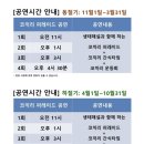 점보빌리지 | 제주도 서쪽 비올 때 아이랑 공연 체험가능한 이색체험 점보빌리지 내돈내산 후기