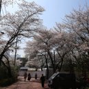 이길래 생성과응집 이미지