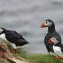 평촌역 1번출구 1-2 이미지