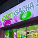 캑티 가챠샵 건대점 이미지