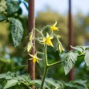 수정의집 이미지