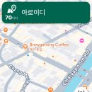 알로이디