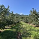 옥천농장 | 사족보행로봇 for 농사 : 옥천군 농장 방문 후기 (1)