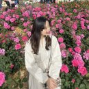 쌍둥이마켓반구정마곡나루 | [일상] Welcome to sunna market☁️