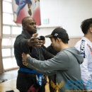 파라에스트라 이미지