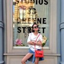 모스트(MOST) 이미지