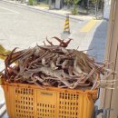 날마다좋은날 | 부산 수율 보장, 대게좋은날 부산본점 내돈내산 솔직후기