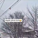 호두나무펜션 이미지
