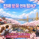 진해구 ⓒ-3 이미지