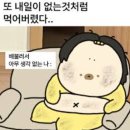 25년 4월 넷째주 : 부산 브런치 뿌시기 [2탄]_덕천 달보드레, 덕천 버거 401, 해리단길 엡섬