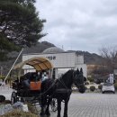 마차고등학교 | 도담삼봉 관광 즐길거리 - 말타기, 도담관광마차, 마차, 가격, 후기, 어린이체험 말마차
