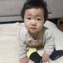 25SS 꼬숑 SWING, BINGO, STRIPE SUNHAT, STRIPE TEE 후기(feat.8개월아기들👶👶)