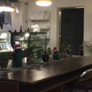 다인회관 | [구월/예술회관] 주택가에 위치한 조용하고 감성있는 카페 도프뮤지엄 후기