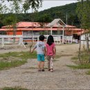 홀스킹덤 팜스테이 이미지