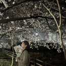 오성게임장 | 4-5월 간만일상