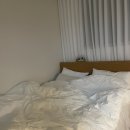 아지케어 이미지