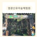 부산아이와함께 숲체험 예약후 체험 후기까지