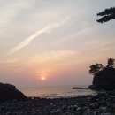 태안무역