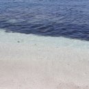 서빈다방 이미지