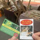 봉구마켓 | 선유도역 놀만한곳 볼거리 야옹이마켓 고양이 마켓 후기