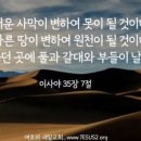 새일교회 ㅣ 하나님의 형상대로 지음 받은 사람 이미지